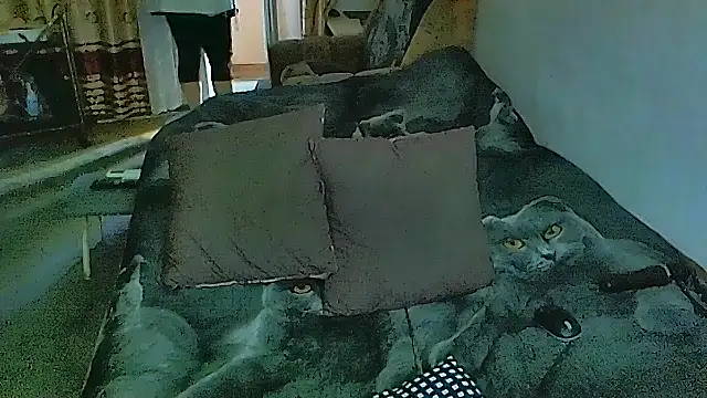 Snapshot of sex2 chatting on 11-17-25, 07:36 sex2 online show from 11-17-25, 07:36