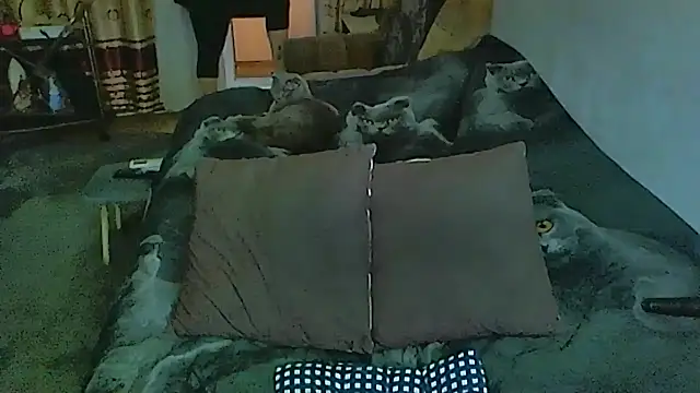 Snapshot of sex2 chatting on 12-04-25, 01:26 sex2 online show from 12-04-25, 01:26