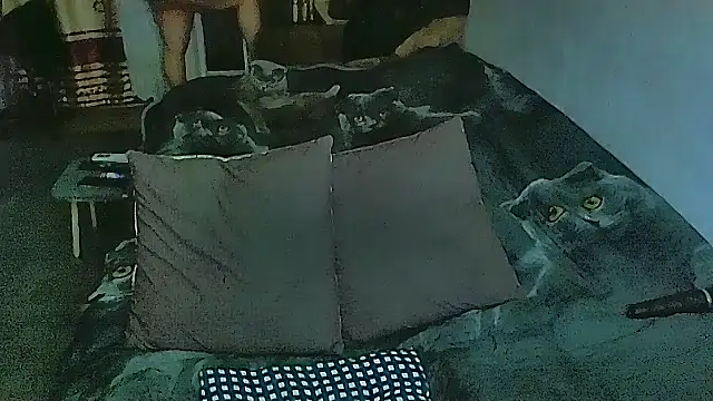 sex2 online show from 02-28-26, 11:06