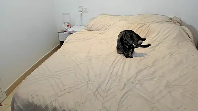 MariaMeir online show from 01-10-26, 10:25