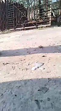 Pitercom online show from 03-09-25, 07:12