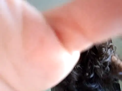 Abysparadise online show from 11-11-25, 05:46