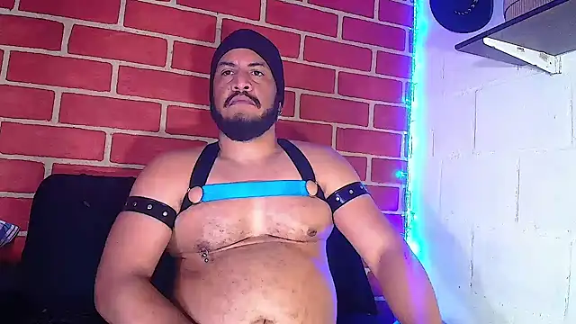 Snapshot of the_master_foal_ chatting on 01-08-25, 04:11 the master foal online show from 01-08-25, 04:11