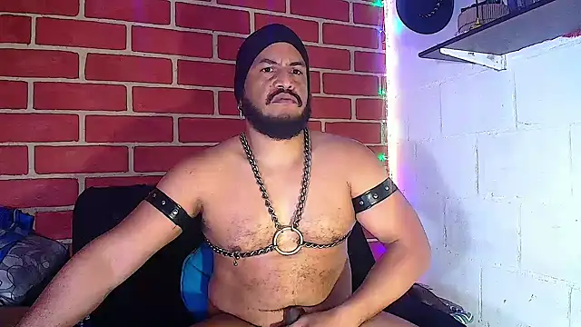 Snapshot of the_master_foal_ chatting on 01-14-25, 02:00 the master foal online show from 01-14-25, 02:00