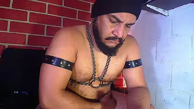 Snapshot of the_master_foal_ chatting on 01-14-25, 05:01 the master foal online show from 01-14-25, 05:01