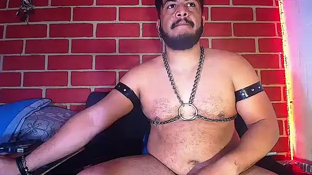 Snapshot of the_master_foal_ chatting on 02-04-25, 10:00 the master foal online show from 02-04-25, 10:00