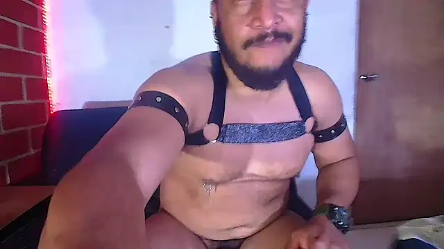 Snapshot of the_master_foal_ chatting on 02-06-25, 08:18 the master foal online show from 02-06-25, 08:18