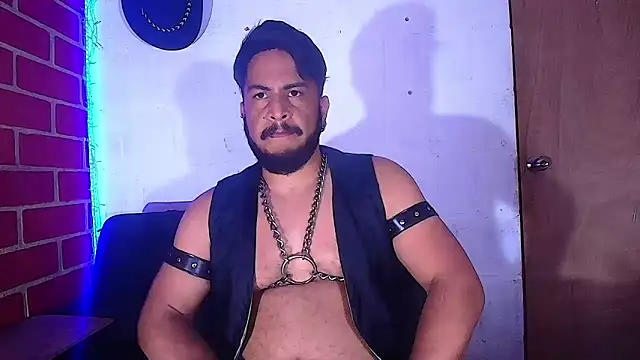 Snapshot of the_master_foal_ chatting on 02-08-25, 05:29 the master foal online show from 02-08-25, 05:29