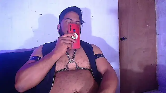 Snapshot of the_master_foal_ chatting on 02-08-25, 08:31 the master foal online show from 02-08-25, 08:31