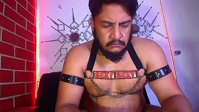 Snapshot of the_master_foal_ chatting on 02-16-25, 11:05 the master foal online show from 02-16-25, 11:05