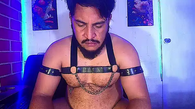 Snapshot of the_master_foal_ chatting on 02-19-25, 07:50 the master foal online show from 02-19-25, 07:50