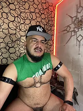 the master foal  online show from 02-27-26, 07:03