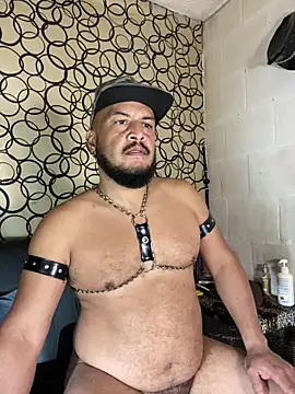 the master foal  online show from 04-19-26, 07:18