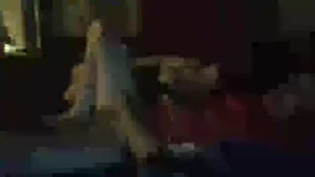 Wyleyxh online show from 11-11-25, 11:43