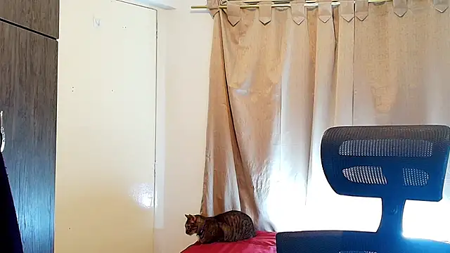 Snapshot of jimmy_class chatting on 12-05-25, 03:09 jimmy class online show from 12-05-25, 03:09