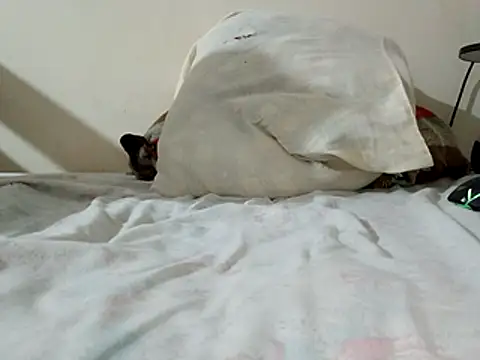 JamesQuaresma online show from 02-11-26, 03:39