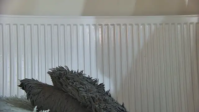 Snapshot of curvyana69 chatting on 01-05-26, 05:27 curvyana69 online show from 01-05-26, 05:27