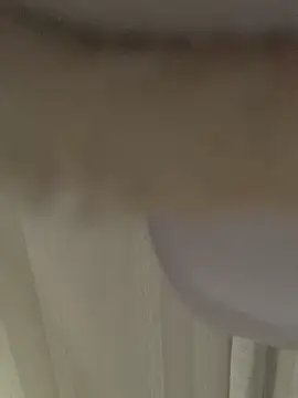 GHsveter online show from 03-31-26, 10:37