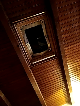 Snapshot of CurlyElisa chatting on 02-26-26, 09:36 CurlyElisa online show from 02-26-26, 09:36