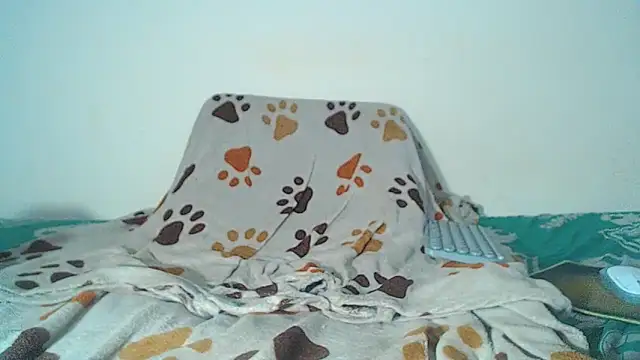 maihton xx online show from 02-03-26, 06:40