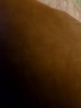 DDL33 online show from 03-12-26, 11:55