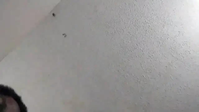 247Srokin online show from 03-06-26, 11:01