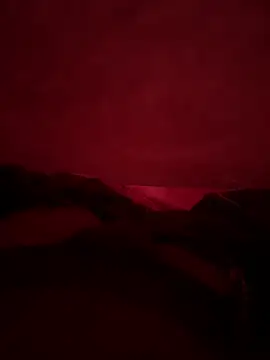 vicky 897n online show from 12-21-24, 07:24