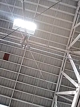 Daddy hook online show from 12-17-24, 03:17