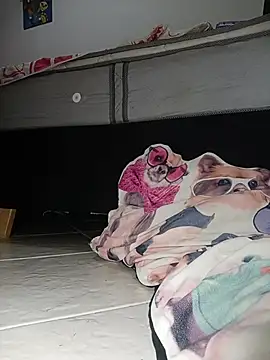 Van3orgasm4me online show from 02-13-26, 07:04