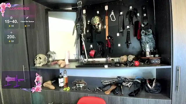 sweet  wild online show from 02-18-25, 11:30