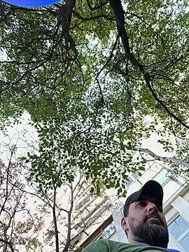 TigerOne19 online show from 10-29-25, 10:17