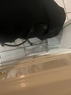 Snapshot of dingoding chatting on 01-24-25, 08:13 dingoding online show from 01-24-25, 08:13