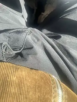 Snapshot of dingoding chatting on 02-10-25, 03:10 dingoding online show from 02-10-25, 03:10