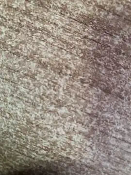 gokhanbey34 online show from 10-08-25, 02:36