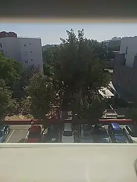 manecas3132 online show from 05-28-26, 03:53