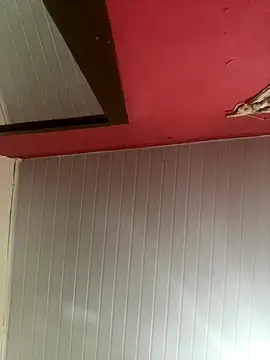 pimenta gaby online show from 11-30-25, 12:20