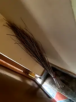 Gopal1243 online show from 01-21-25, 03:37