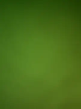 Gopal1243 online show from 01-29-25, 09:12