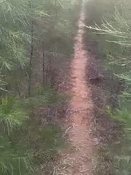 Gopal1243 online show from 02-17-25, 01:47