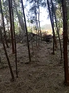 Gopal1243 online show from 02-26-25, 02:15