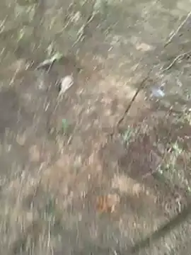 Gopal1243 online show from 03-27-26, 01:11