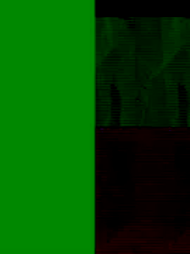 GeilerSchweizer online show from 11-25-25, 08:47