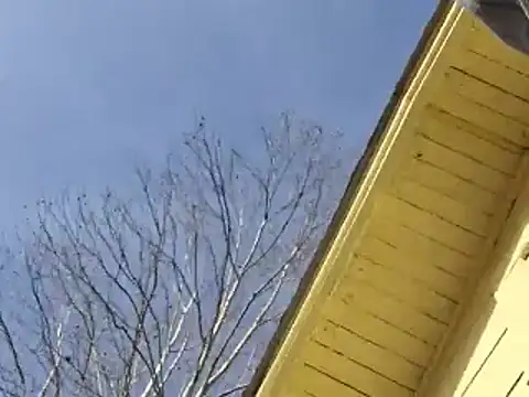 highstepper500 online show from 12-26-24, 02:12