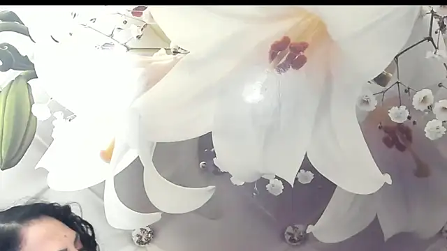 SweetArtemis online show from 02-23-25, 11:04