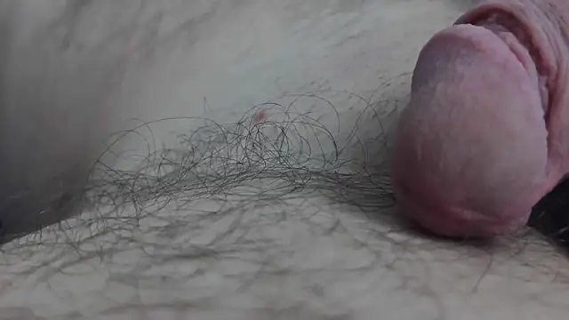 Snapshot of Fist-my-ass chatting on 11-24-25, 08:03 Fist-my-ass online show from 11-24-25, 08:03