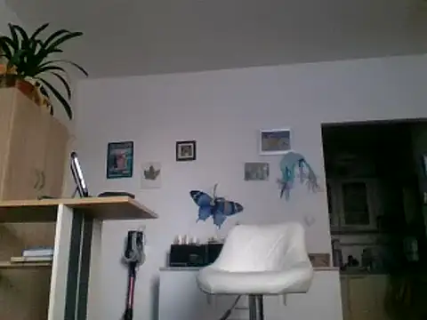 82liska online show from 11-28-25, 09:56