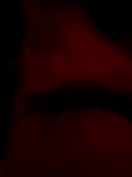 roccosif696 online show from 01-25-25, 06:46