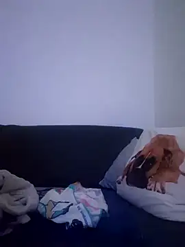 cuci45 online show from 12-21-25, 01:13