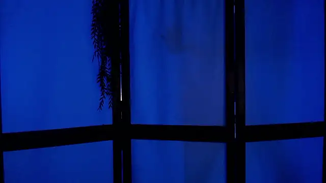 Snapshot of Wildorchid_ chatting on 12-02-24, 04:53 Wildorchid online show from 12-02-24, 04:53