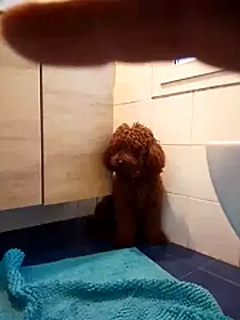 ValentinoRollstars online show from 03-18-26, 04:43